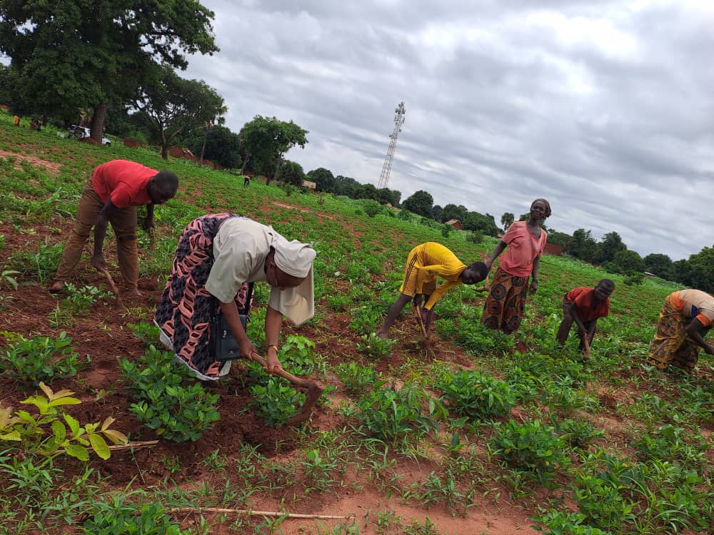 Ayuda a convento en Chad
